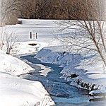 361C Winter creek