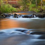 Realistic Acceptance - Willow River by Jeff Bucklew