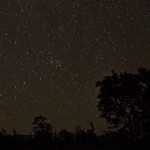 Assignment - Realistic - Stars over the Trees by Michael Waterman