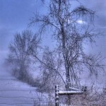 Realistic - Fence by Chuck Jentlie