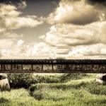 Realistic - Railbridge by Michael Huber