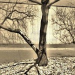 Creative - Untitled Shadow by Ken Krautbauer