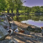 Realistic - Gone Fish'n by Chuck Jentlie