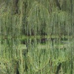 Creative - Reflecting Enigma by Ken Krautbauer