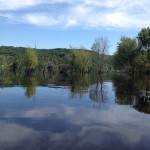 Assignment - Nature - Doubles by Connie Klecker