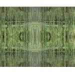 Creative - Reflections - For Reflections by Ken Krautbauer