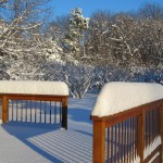 Realistic - First Snow by Bryan Leonard