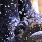 Realistic - Water Feature by Sue Oberstar