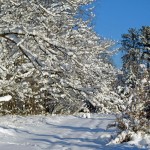 Realistic - Winter Walk by Bryan Leonard