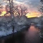 Assignment Nature - Willow Sunset by Kathy Lauerer