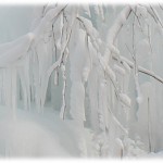 Assignment Realistic - Ice Palace by Linda Donaldson