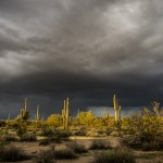 Travel - Desert Storm 1 by Lori Moilanen