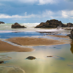 Pictorial - Oregon Coast Tidal Waters - Terry Butler