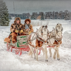Contemporary Image of the Year - An Old-Fashioned Sleigh Ride - Marianne Diericks