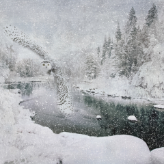 2nd Place Creative - Snowy Over The River - Melissa Anderson