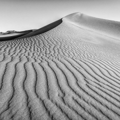 Merit Black and White - Sand Dune Contrast - Diane Herman