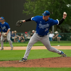 Assignment - Lefty Driess Piches a No-Hitter For the Rochester Royals - Mick Richards