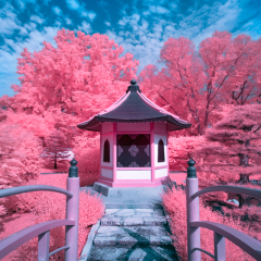 Normandale Infrared#2 - Ken Wolter