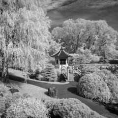 Normandale Infrared#3 - Ken Wolter