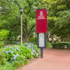 Campus Walkway and Garden at University of South Carolina