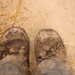 10. Boots