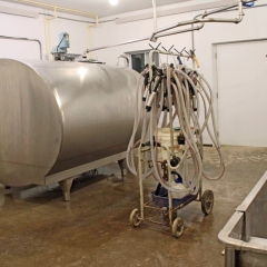 3.Ready to Milk
