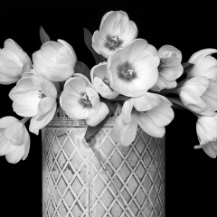 01 Tulips in a Metal Can