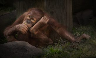 News you need to know