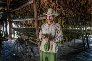 Competitions, Rules and Competitions!