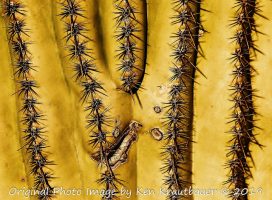 Farewell 2019 – Here Comes 2020