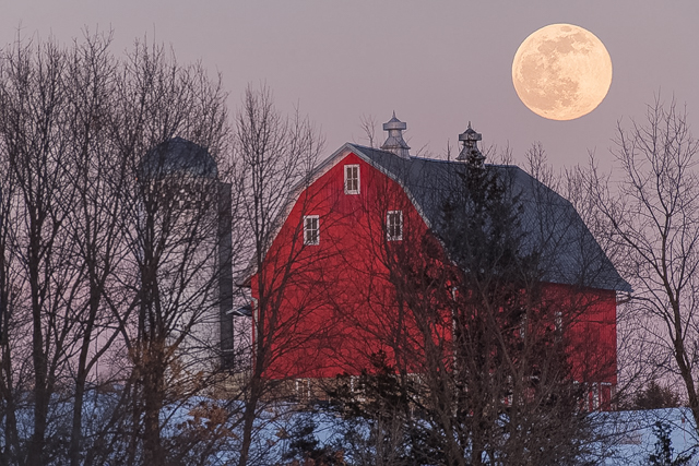 More Goodness Coming in March