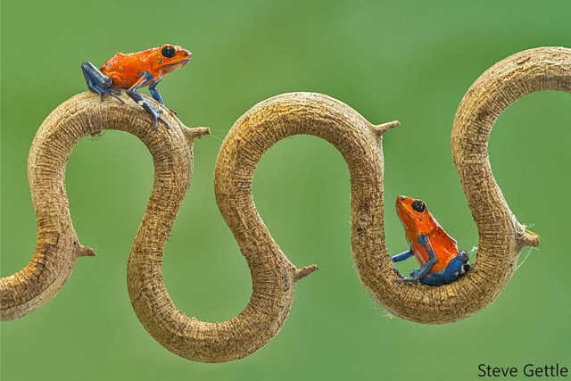 A new Webinar is Scheduled!