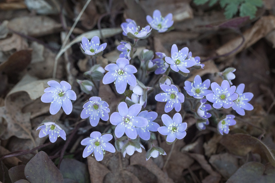 Spring is Here!
