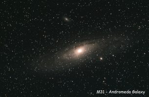 Mid-September News 2020