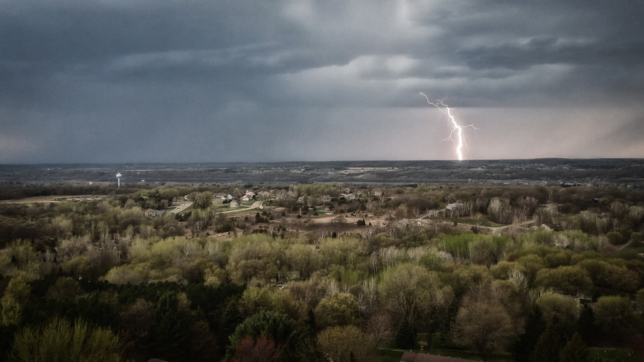 Member in the Spotlight